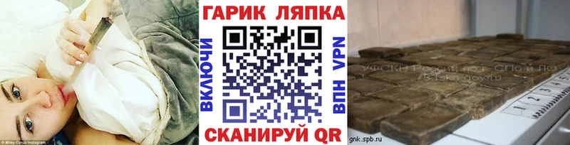 как найти закладки  Ефремов  darknet официальный сайт  Гашиш гарик 
