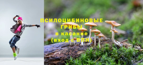 эйфоретик Михайлов