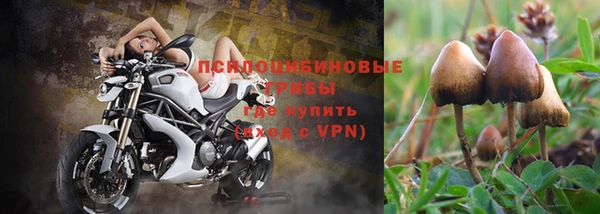 Альфа ПВП Заволжье