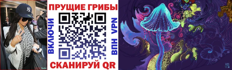как найти наркотики  Ефремов  Галлюциногенные грибы прущие грибы 