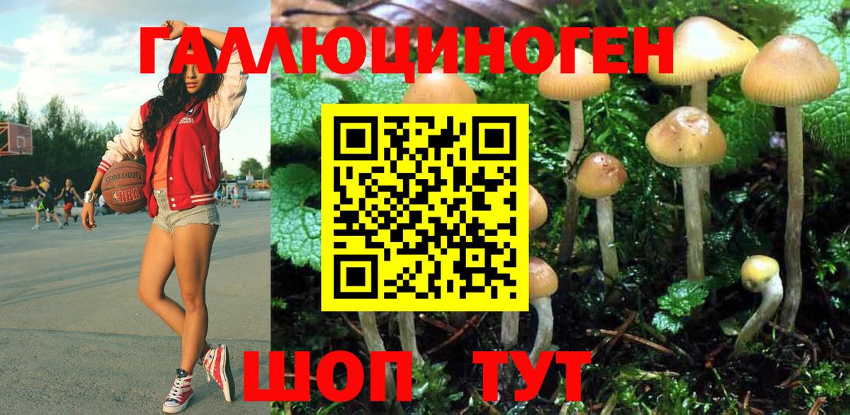 Галлюциногенные грибы Cubensis  закладка  Ефремов  Псилоцибиновые грибы MAGIC MUSHROOMS 