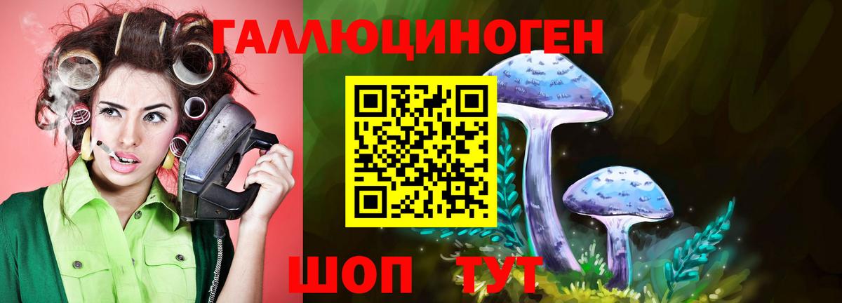 купить наркотик  Галлюциногенные грибы GOLDEN TEACHER  Вход с VPN  Ефремов 