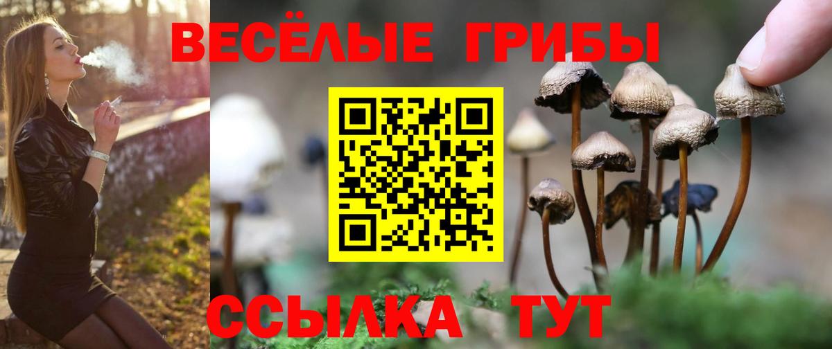 Галлюциногенные грибы GOLDEN TEACHER Ефремов