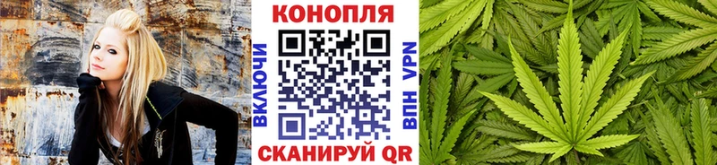 цены наркотик Ефремов Шишки марихуана OG Kush